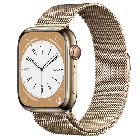 stainless steel watch apple